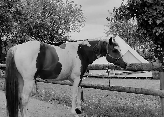 Ecuries De Bed & Breakfast