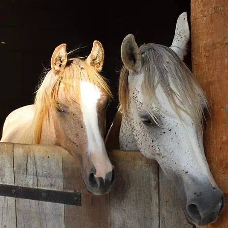 Ecuries De ベッド・アンド・ブレックファスト Laramiere