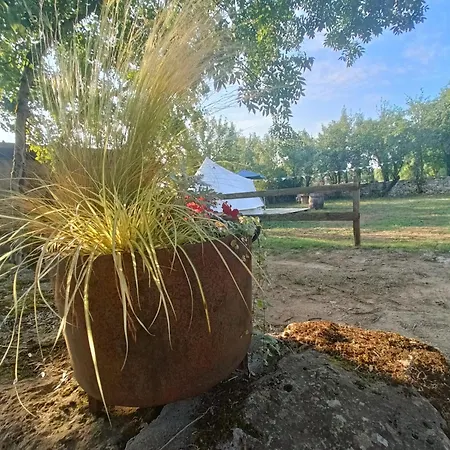 Ecuries De 3* Laramiere